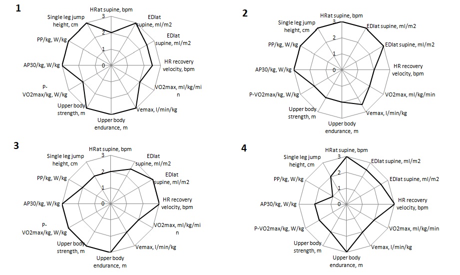 Young skiers’ functional profiles.