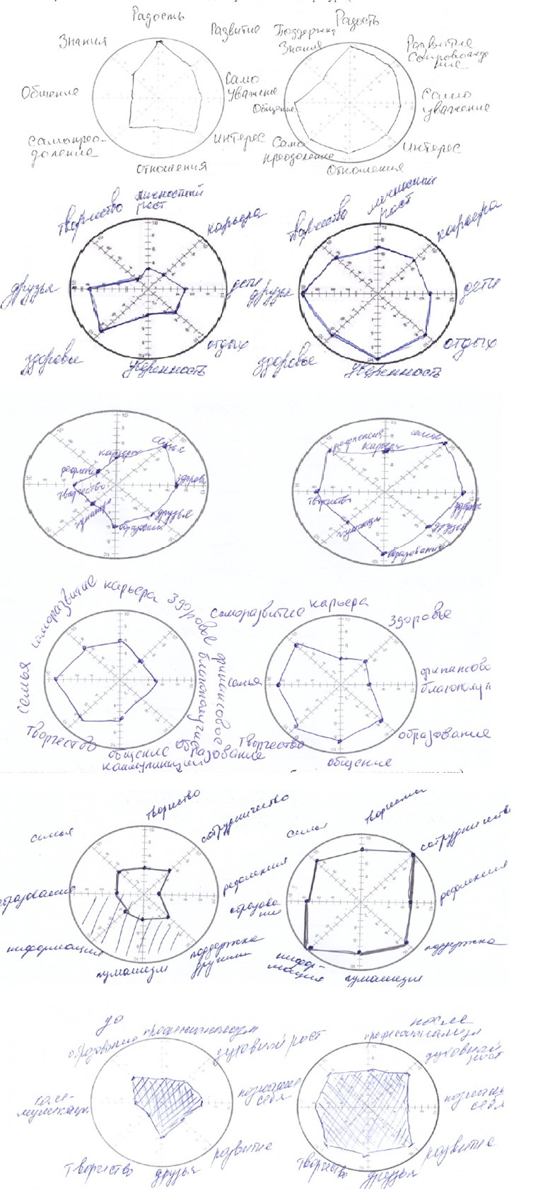 Figure 01. Examples of completing the chart “The
      wheel of values”