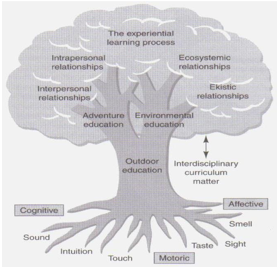 Figure 01. Outdoor education tree (Priest, 1986)