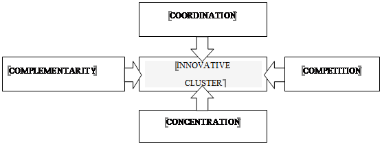 Essential content of the “innovation cluster” category (developed by the authors)