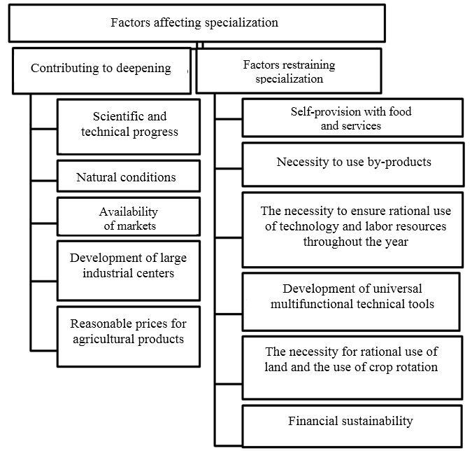 Factors affecting specialization